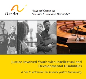 Youth Involved with the Juvenile Justice System